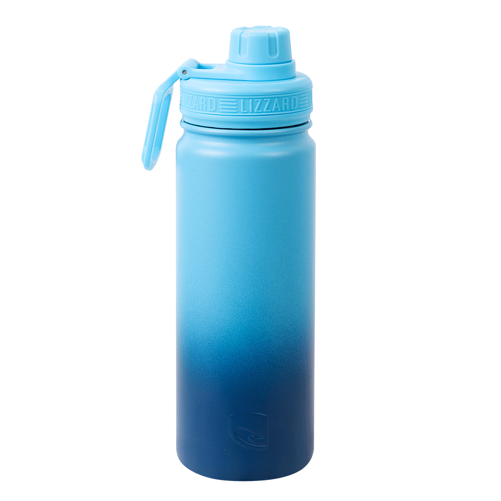 Lizzard Insulated Stainless Steel Flask | 530ml