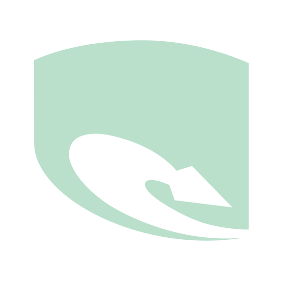 LIZZARD_LOGO-Lizzard Flasks