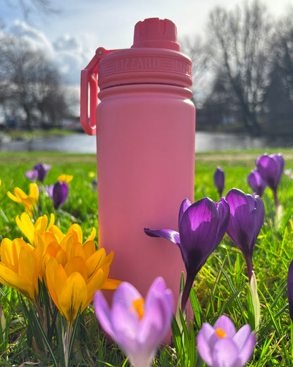 Lizzard Stainless Steel Flask 530ml