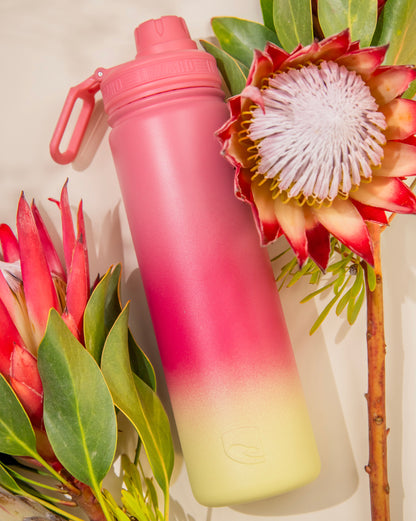 Lizzard Stainless Steel Flask 650ml